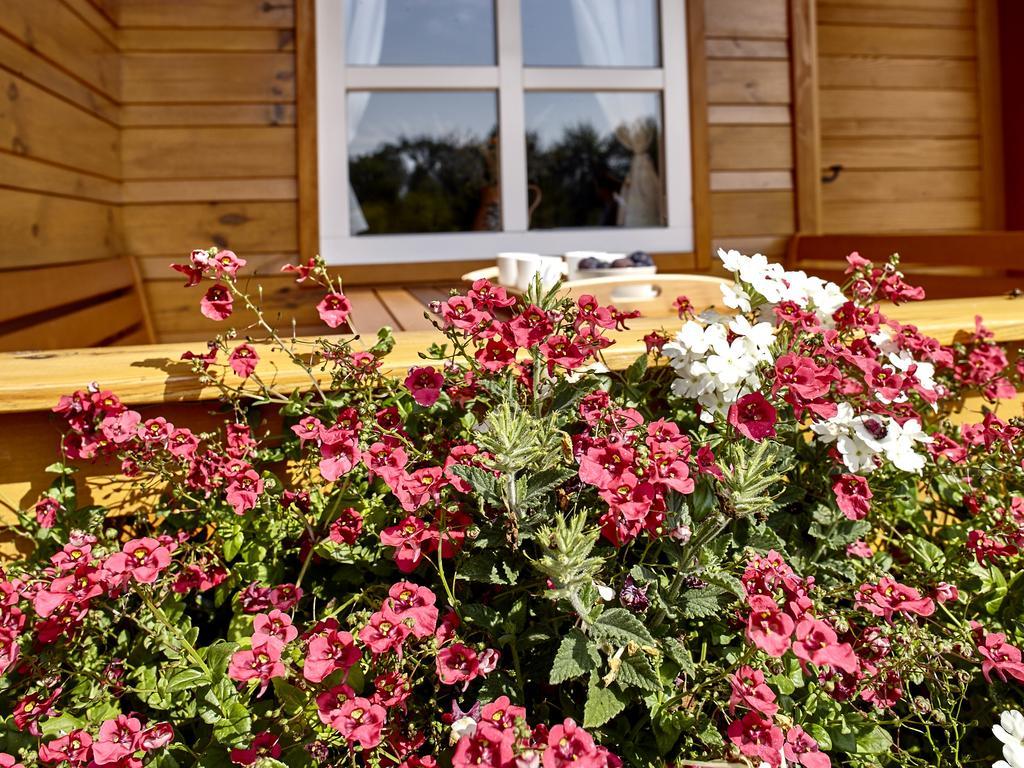Holiday Homes Vita Natura Rakovica Luaran gambar
